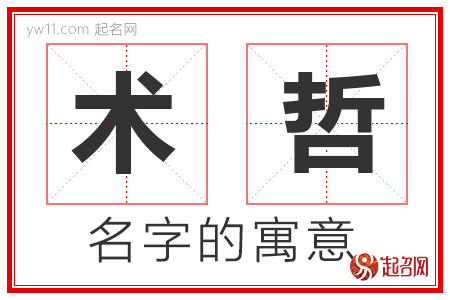 术哲的名字解释