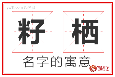 籽栖的名字含义