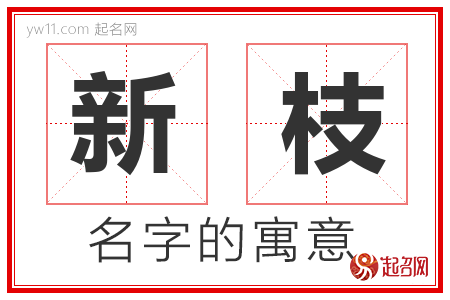 新枝的名字含义