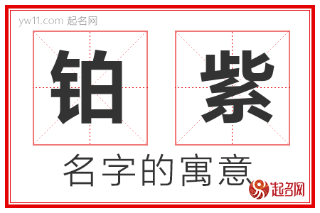 铂紫的名字含义