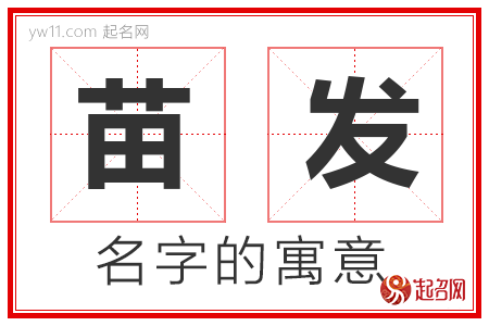 苗发的名字含义