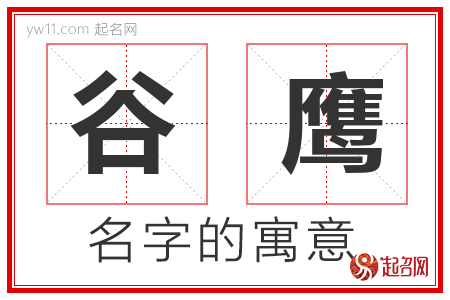 谷鹰的名字解释