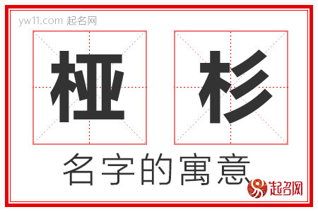 桠杉的名字含义