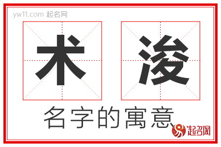 术浚的名字含义