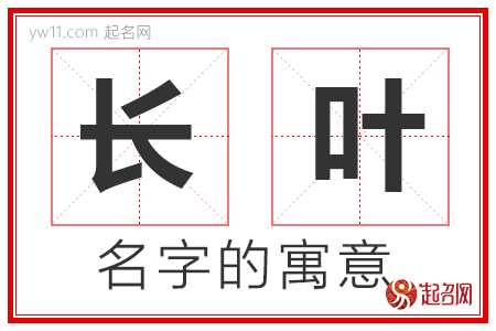 长叶的名字寓意