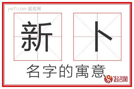 新卜的名字含义