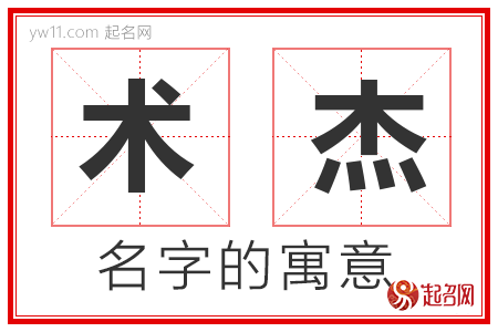 术杰的名字含义