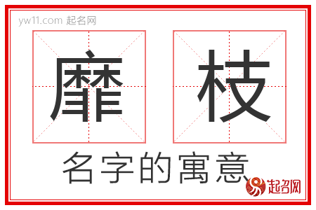 靡枝的名字含义