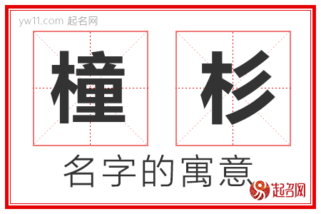 橦杉的名字解释