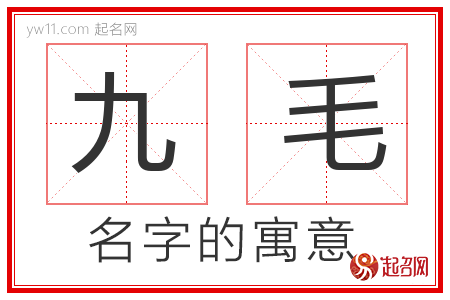 九毛的名字含义