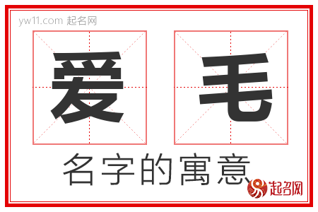 爱毛的名字含义