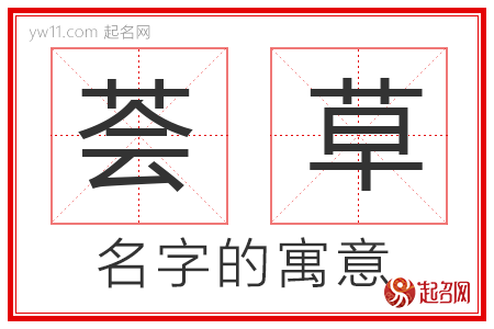 荟草的名字寓意