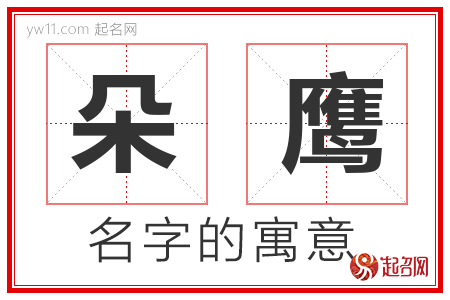 朵鹰的名字含义