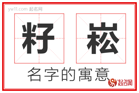 籽崧的名字含义