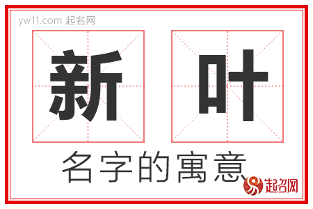 新叶的名字寓意