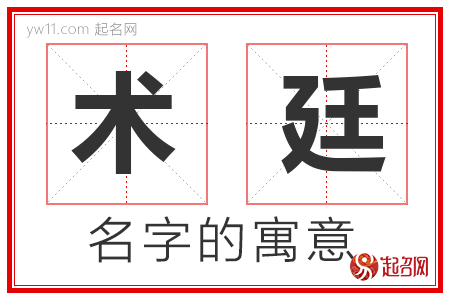 术廷的名字含义