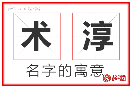 术淳的名字含义