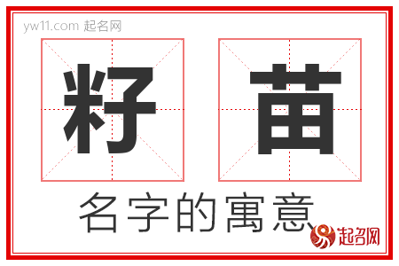 籽苗的名字含义