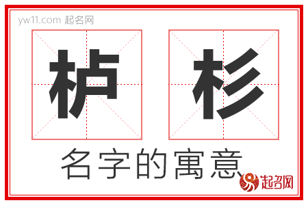 栌杉的名字寓意