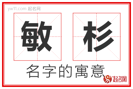 敏杉的名字解释