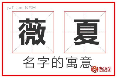 薇夏的名字含义