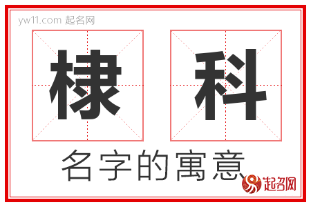 棣科的名字含义