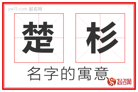 楚杉的名字含义