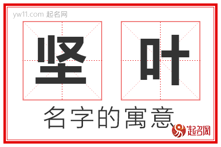 坚叶的名字含义