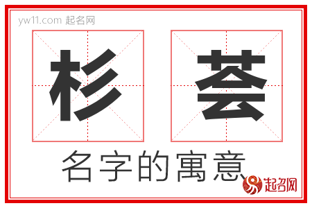 杉荟的名字含义