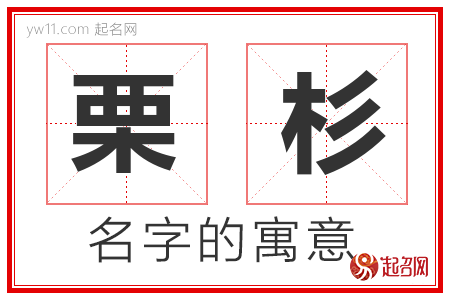 栗杉的名字含义