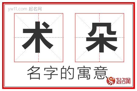 术朵的名字含义