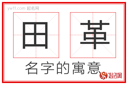 田革的名字寓意