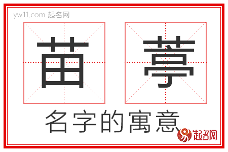 苗葶的名字寓意