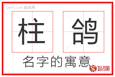 柱鸽的名字含义