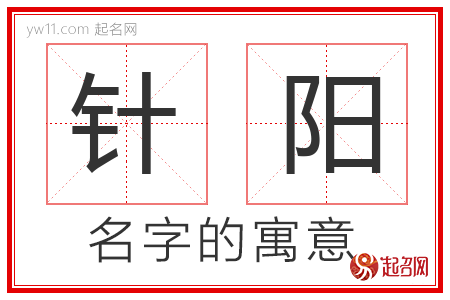 针阳的名字含义