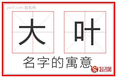 大叶的名字含义