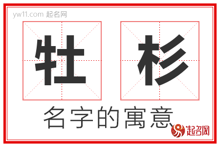 牡杉的名字含义